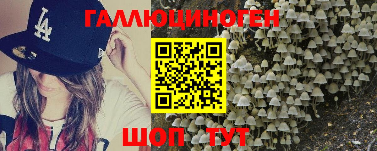 Галлюциногенные грибы Psilocybe Старая Купавна